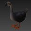 Goose