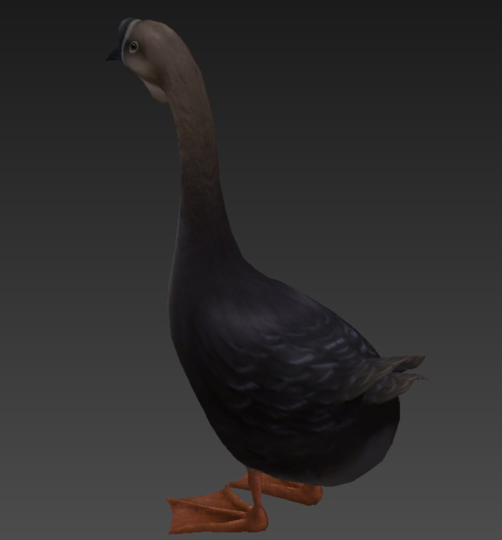goose 3D https://p.turbosquid.com/ts-thumb/j1/BG0ZwW/gYERprNi/5.bmpbf549cb686bb4d2b9432db04b710ffe8defaulthq/jpg/1597824623/1920x1080/fit_q87/08b0837e074121abd44805ea0a4c565b98d063fb/5.bmpbf549cb686bb4d2b9432db04b710ffe8defaulthq.jpg