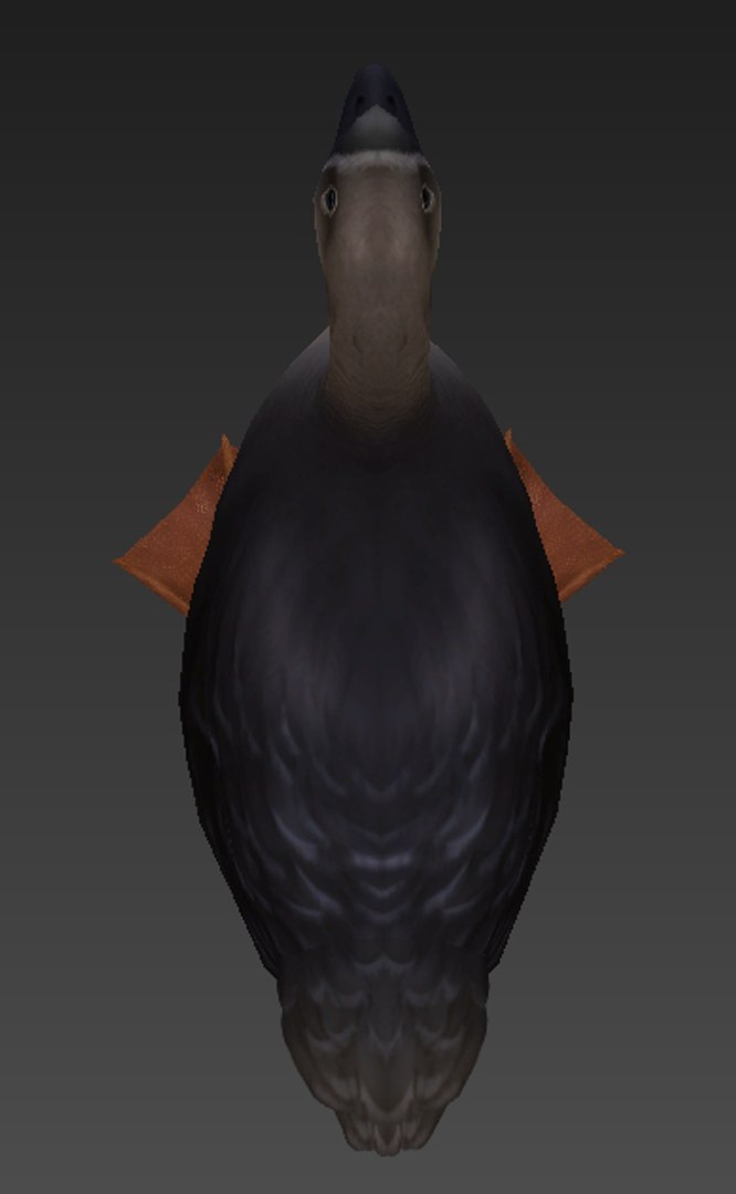 goose 3D https://p.turbosquid.com/ts-thumb/j1/BG0ZwW/uJtSlZUu/4.bmp7c60908527f34da688ca882ef29c544bdefaulthq/jpg/1597824564/1920x1080/fit_q87/b0531fea29fe5667c3ec4015d6ad50195fa144bb/4.bmp7c60908527f34da688ca882ef29c544bdefaulthq.jpg