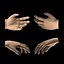 3d hands