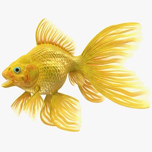 3D Goldfish Rigged