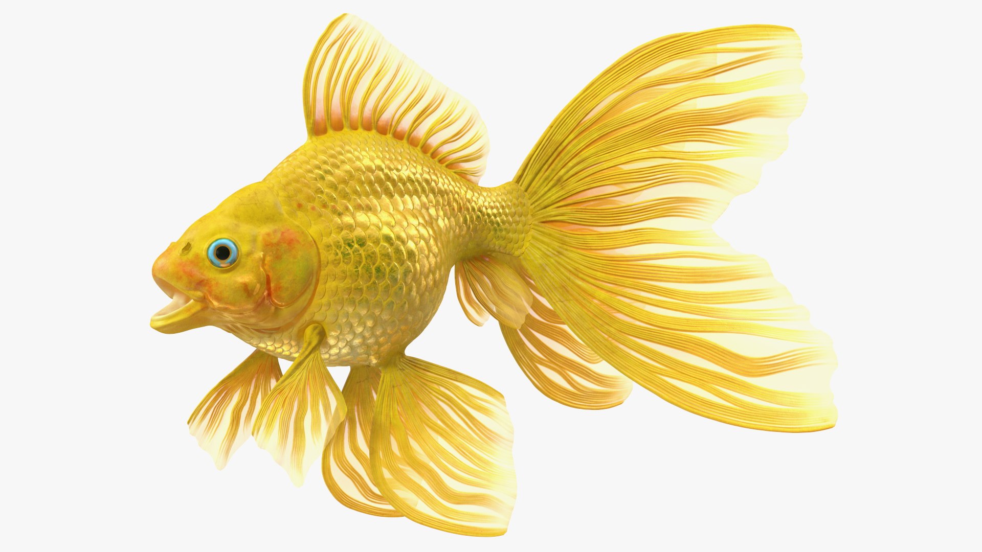 Goldfish Rigged 3D model preview
