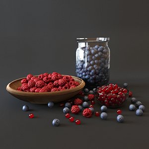 blueberry raspberry food model