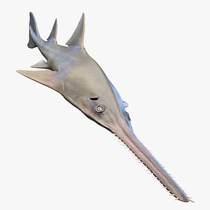 Sawfish Static