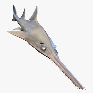 Sawfish Static