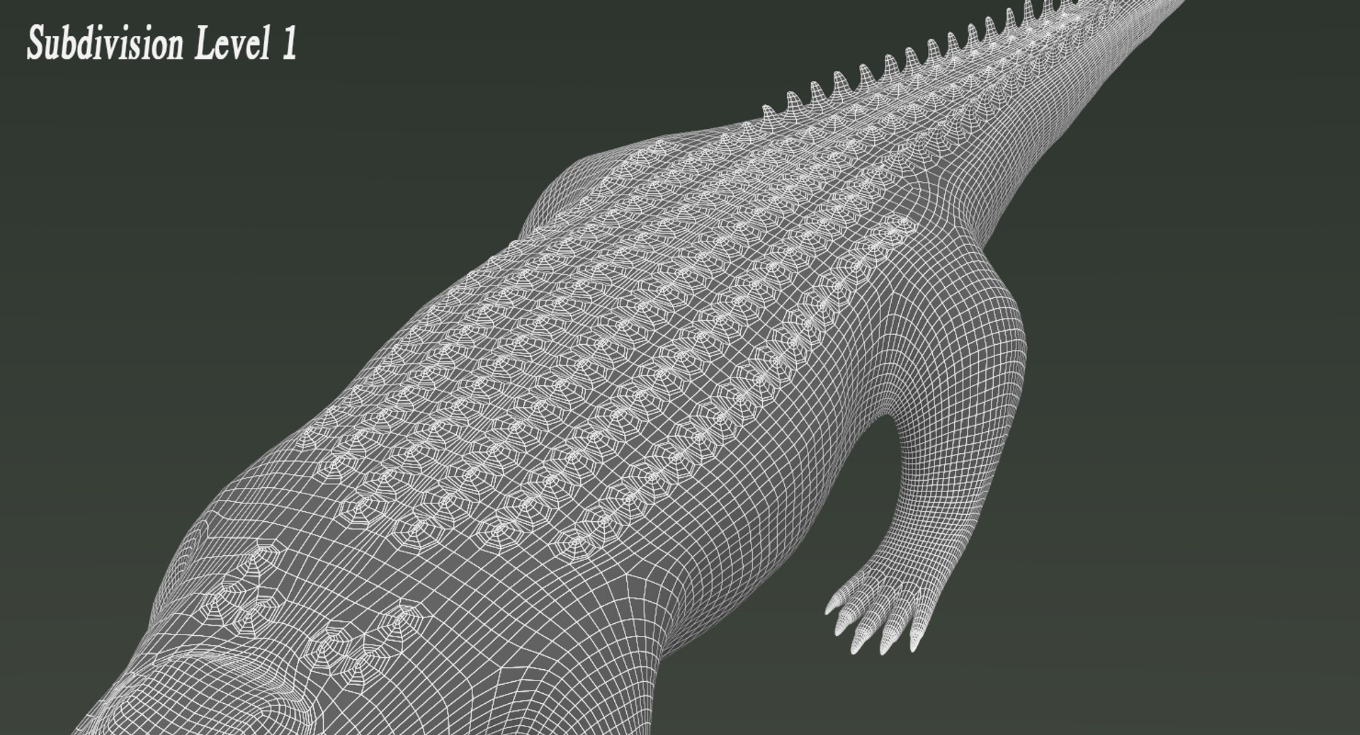 3D realistic crocodile rigged animation https://p.turbosquid.com/ts-thumb/j1/bSoY7g/72g9Lq0O/crocodilewire4/png/1524106365/1920x1080/fit_q87/61ad70fc80d44b9501c689d45de8fcc614239d3d/crocodilewire4.jpg