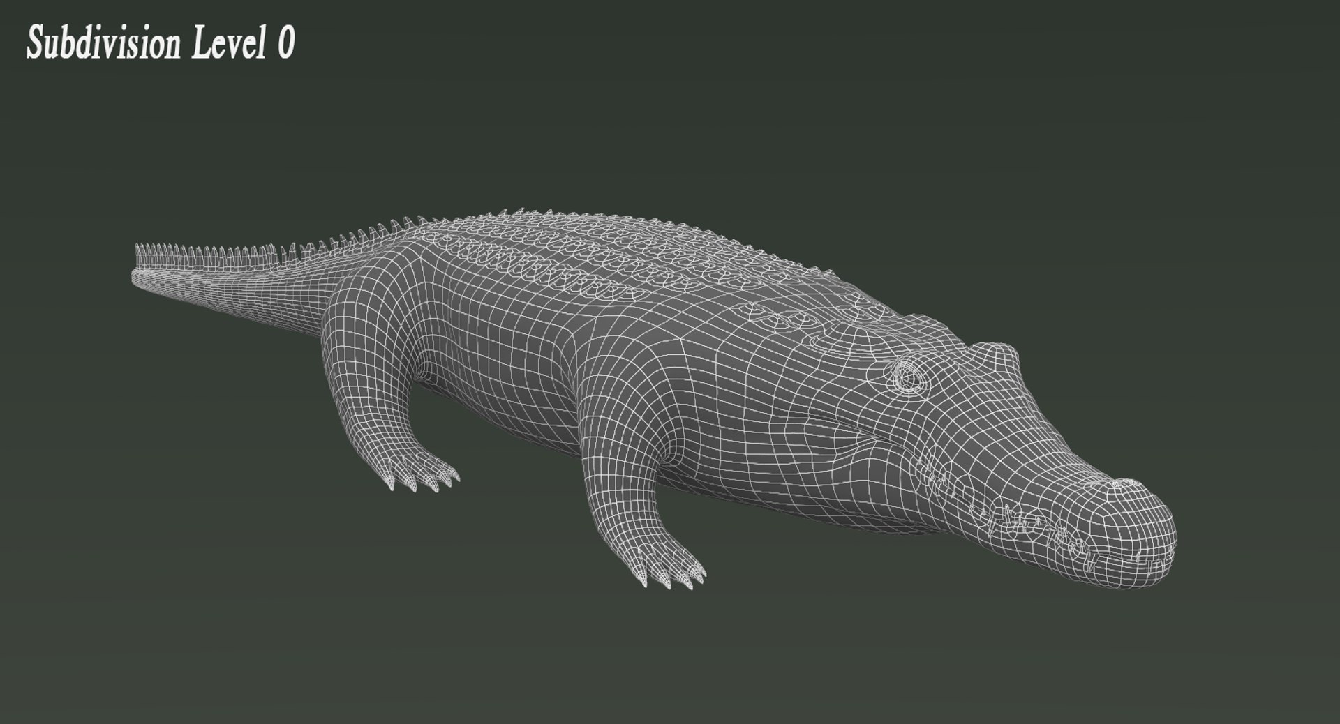 3D realistic crocodile rigged animation https://p.turbosquid.com/ts-thumb/j1/bSoY7g/8SQliw6u/crocodilewire1/png/1524106205/1920x1080/fit_q87/fd02f818d5b6ae53a64c6bdbf288e0076aa4b454/crocodilewire1.jpg