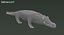 Crocodile Rigged