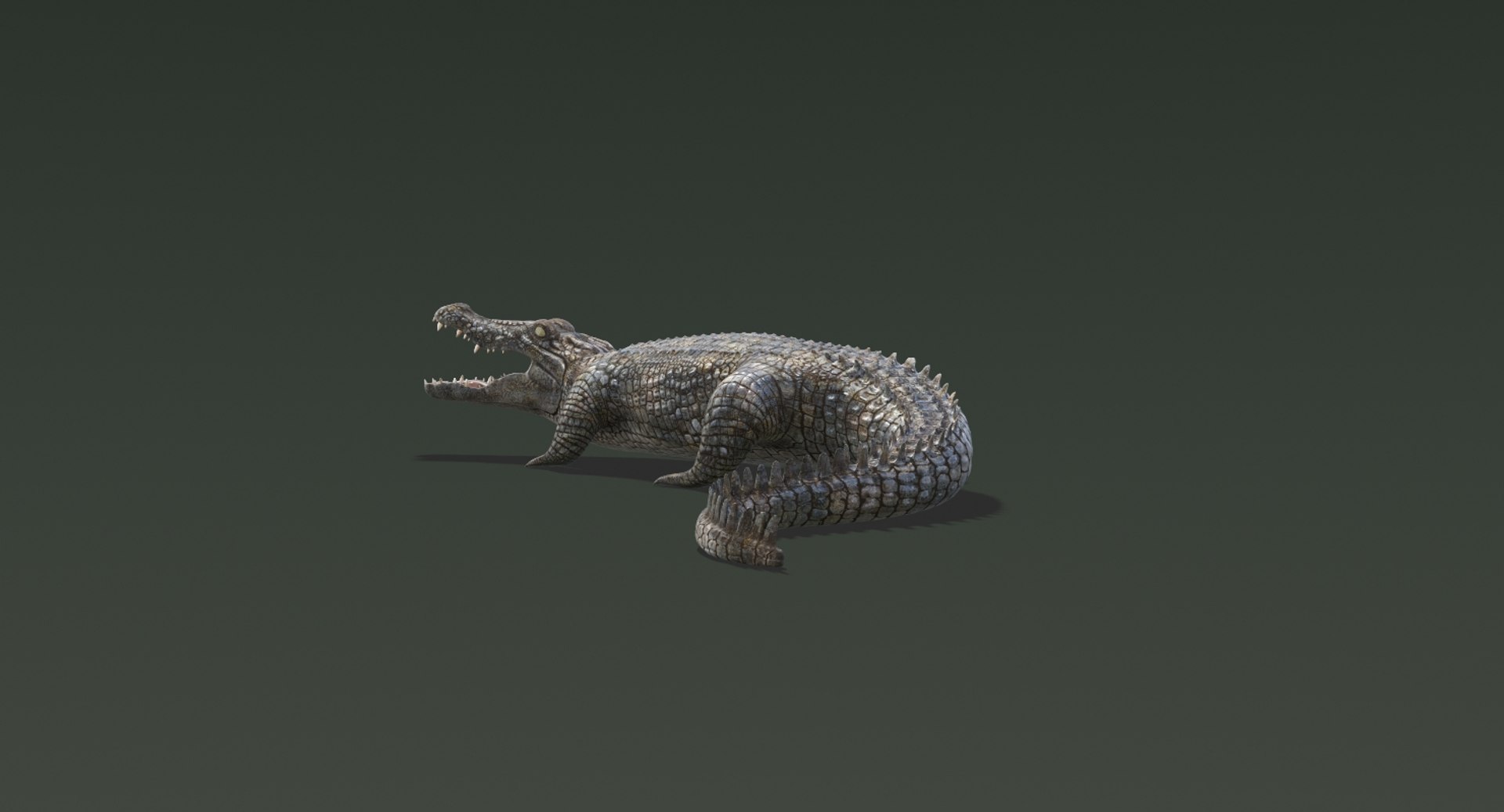3D realistic crocodile rigged animation https://p.turbosquid.com/ts-thumb/j1/bSoY7g/8VVXc1q8/crocodile12/jpg/1524225662/1920x1080/fit_q87/5896e83632d836d4a960884fa9d0736c548655dd/crocodile12.jpg