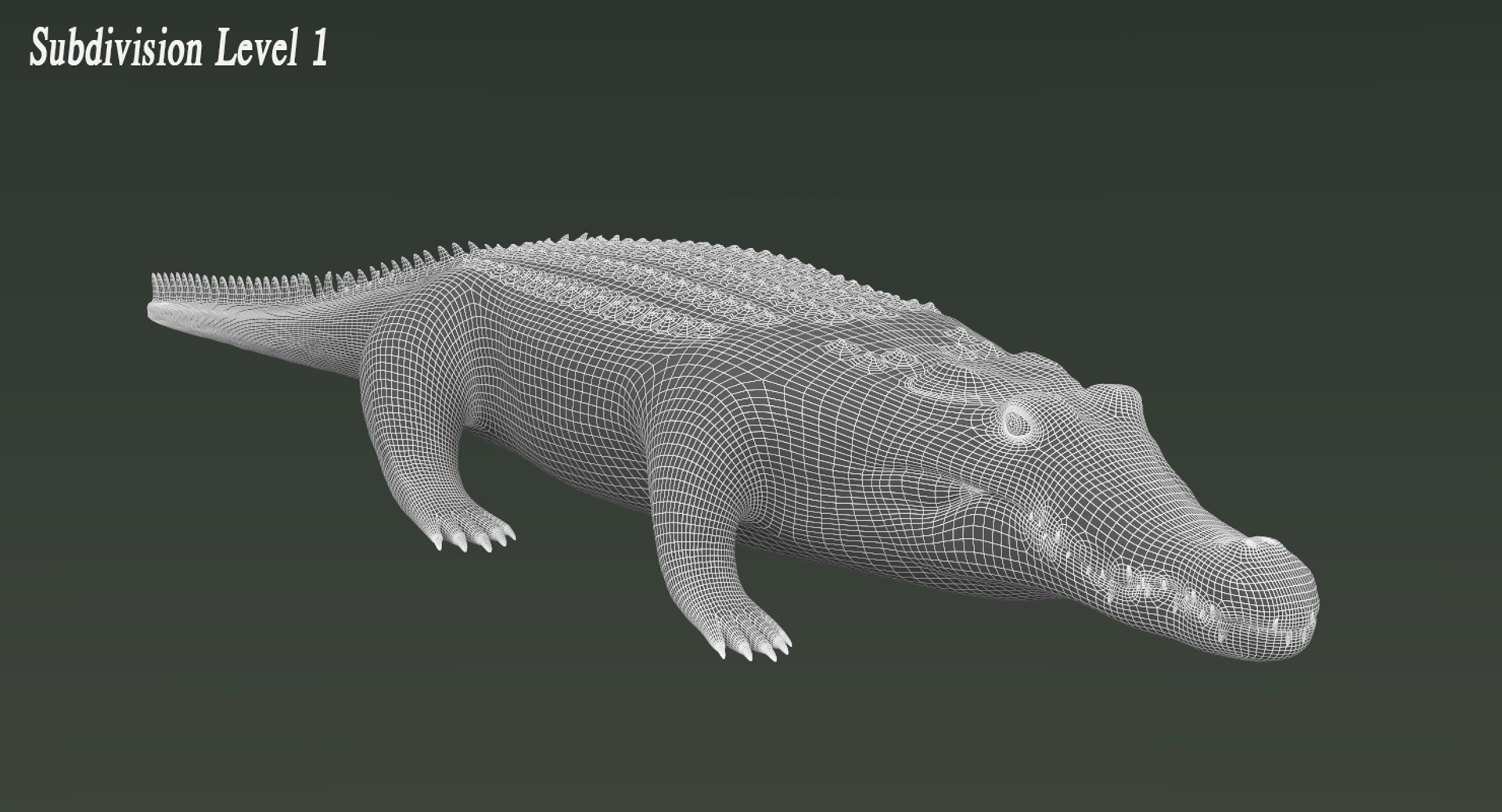 3D realistic crocodile rigged animation https://p.turbosquid.com/ts-thumb/j1/bSoY7g/S3F0qP3t/crocodilewire2/png/1524106254/1920x1080/fit_q87/03c4acfe1590a85d6bd46f99ba9d6988ab106524/crocodilewire2.jpg