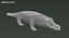 Crocodile Rigged