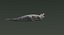 Crocodile Rigged