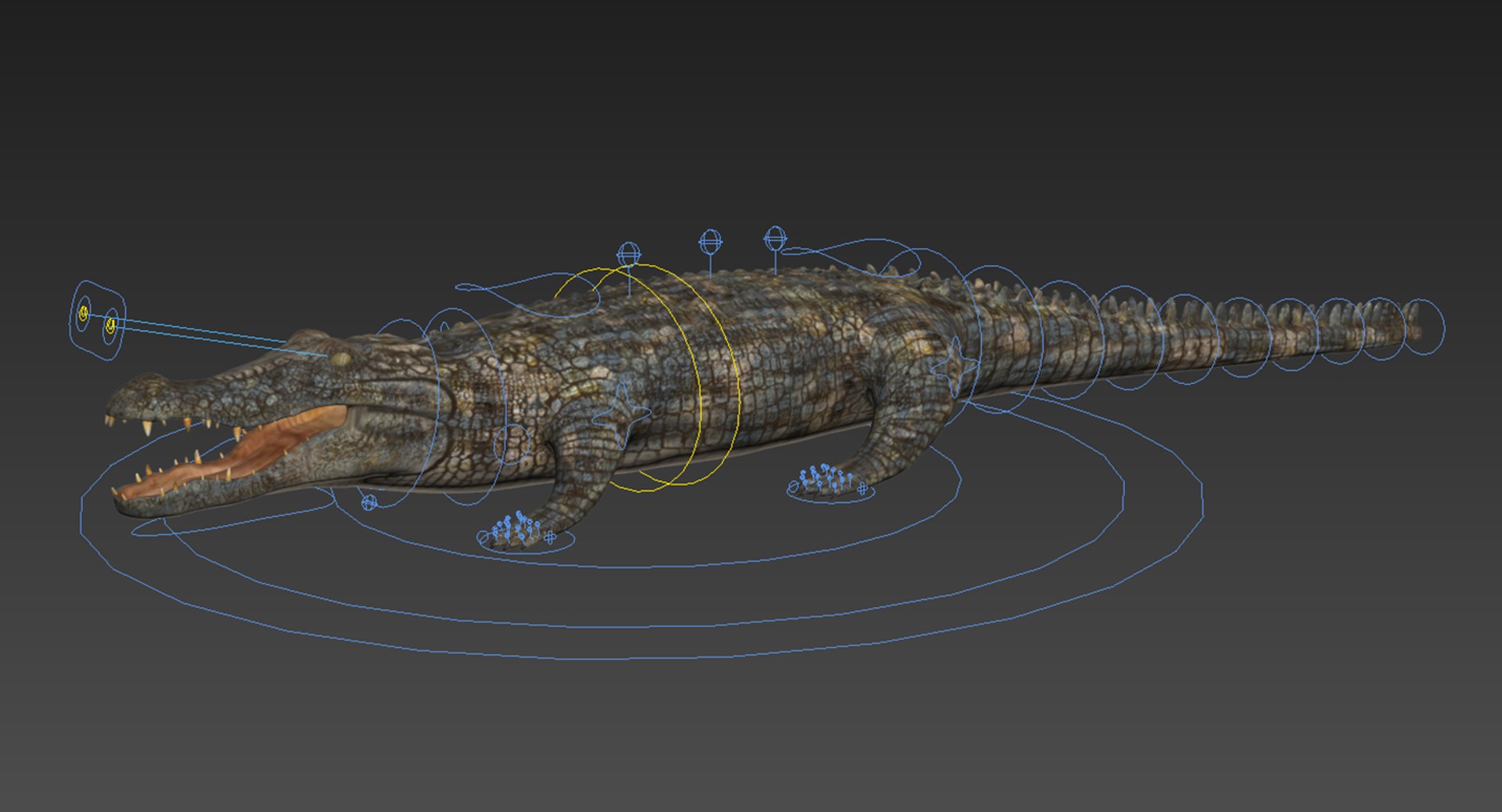 3D realistic crocodile rigged animation https://p.turbosquid.com/ts-thumb/j1/bSoY7g/ZqRiAZmY/rigcontrol/png/1524141143/1920x1080/fit_q87/ce0e8e5d8827c06e24291bdd5f813260f79af7ec/rigcontrol.jpg