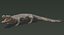 Crocodile Rigged