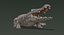 Crocodile Rigged