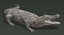 Crocodile Rigged