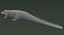 Crocodile Rigged