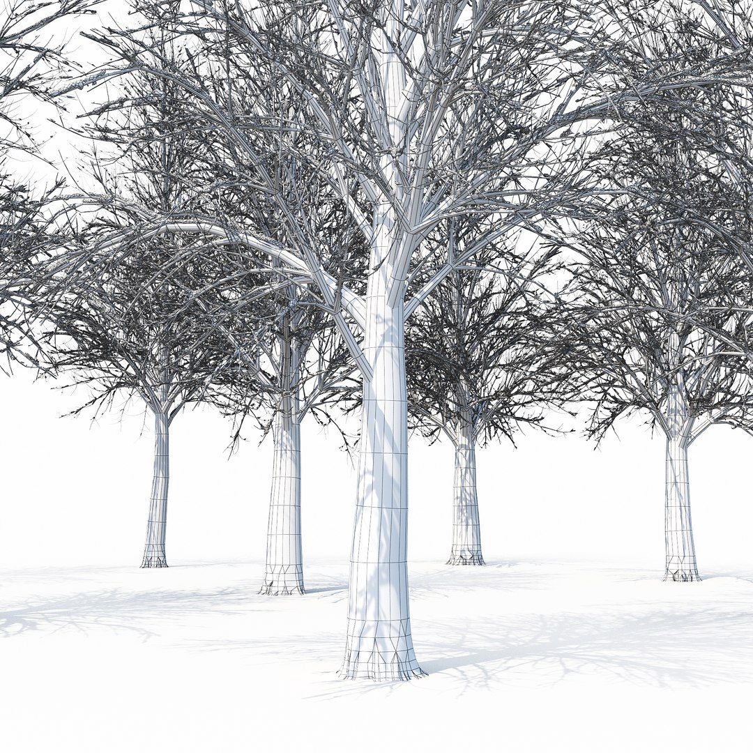 Winter Tree 035 Snow 3D Model - TurboSquid 1238100