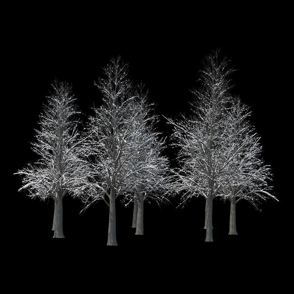 winter tree 035 snow 3D model