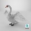 White Swan