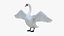 White Swan