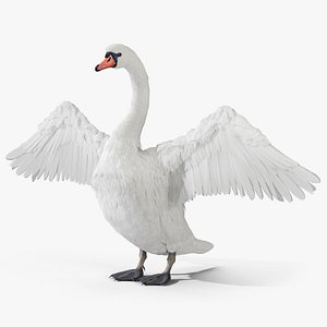 White Swan 3D