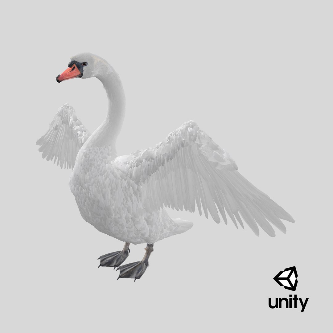 White Swan 3D https://p.turbosquid.com/ts-thumb/j1/dX0I5u/c2/stemcell_unity_render/png/1746614732/1920x1080/fit_q87/a78b266a4708a016fe03bc01be721d5d8c83f933/stemcell_unity_render.jpg
