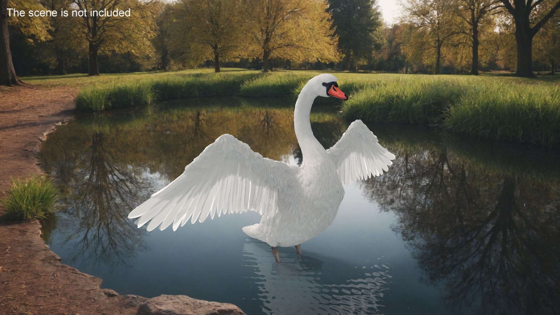 White Swan 3D https://p.turbosquid.com/ts-thumb/j1/dX0I5u/cw/white_swan_003/jpg/1742859628/1920x1080/fit_q87/527ca63829e47065e6201506b0b677fb99bf9c79/white_swan_003.jpg