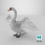 White Swan