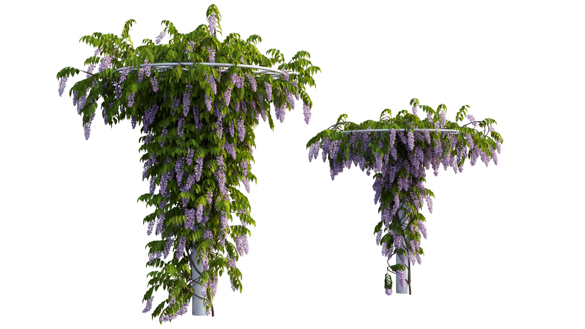 tree 14 3D model https://p.turbosquid.com/ts-thumb/j1/dlyYOw/0D/5_interactivelightmix/png/1607415935/1920x1080/fit_q87/fc21e4c32d9c25faa23e30a21894b919bbb6fe7a/5_interactivelightmix.jpg