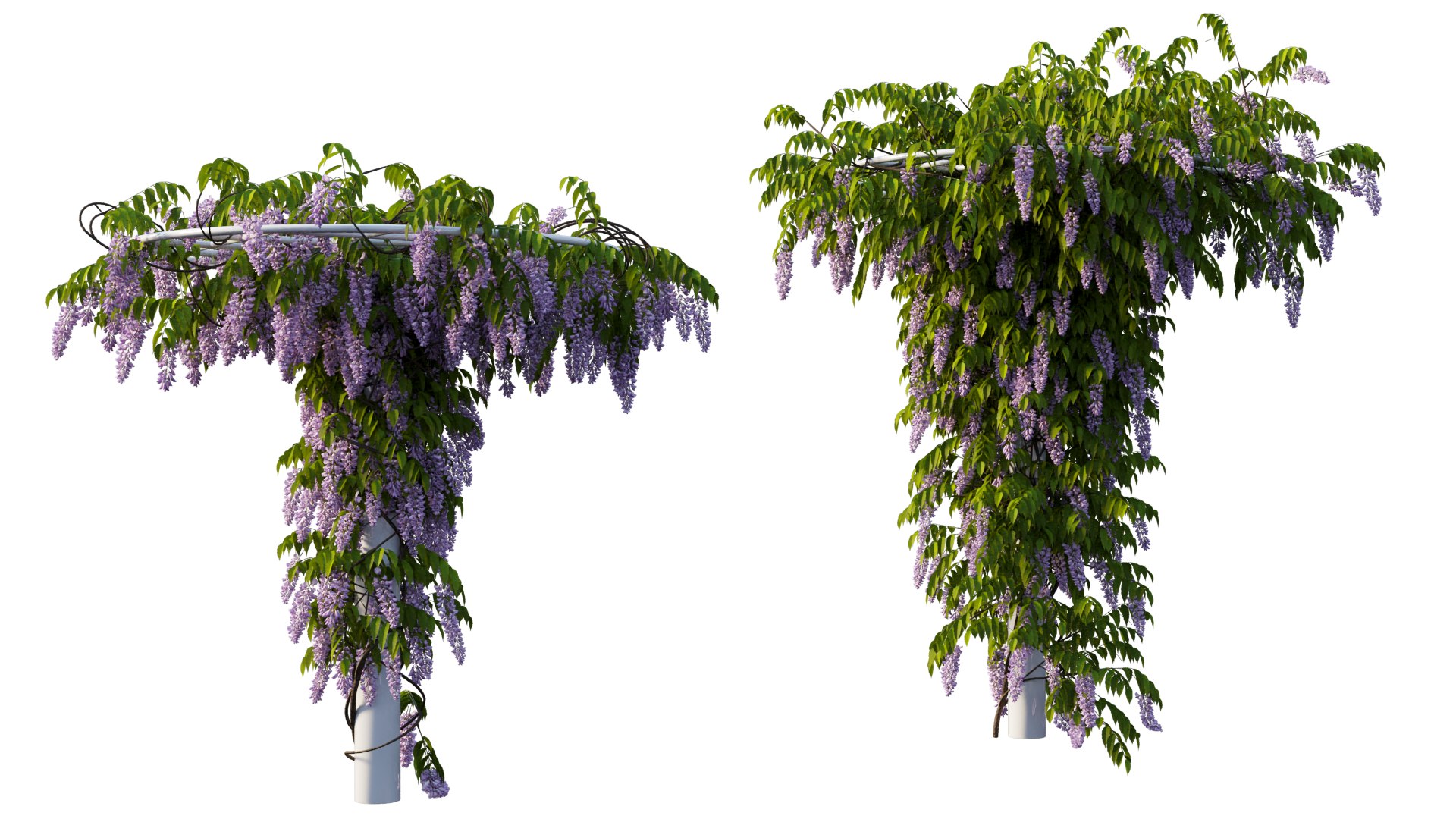 tree 14 3D model https://p.turbosquid.com/ts-thumb/j1/dlyYOw/5W/4_interactivelightmix/png/1607415937/1920x1080/fit_q87/481b00fd13442f1d4cd333816e47331b31721443/4_interactivelightmix.jpg