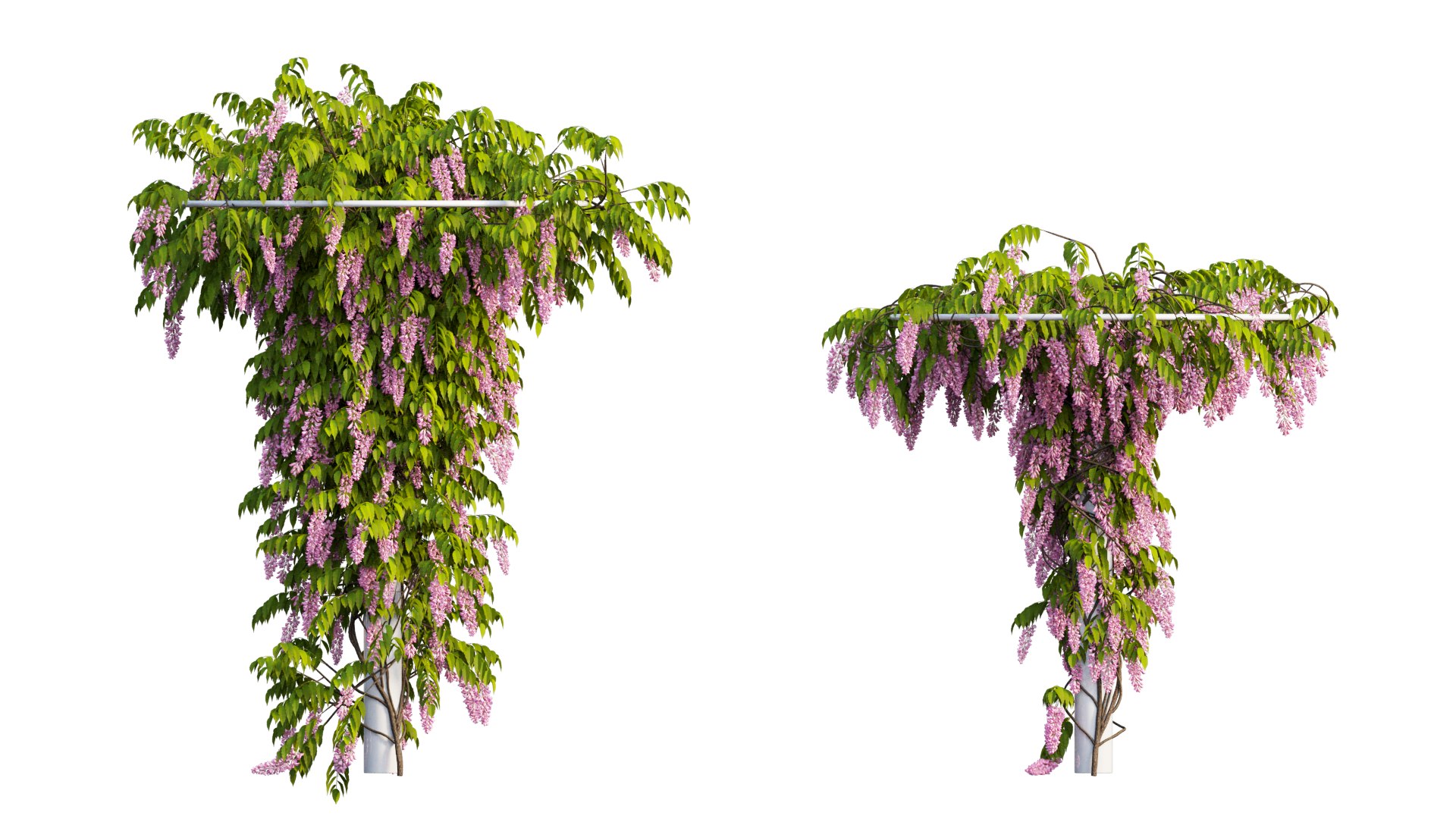tree 14 3D model https://p.turbosquid.com/ts-thumb/j1/dlyYOw/HD/2_interactivelightmix/png/1607415936/1920x1080/fit_q87/d16669e9b64b3823b353257473fd13ba0bf9a4d5/2_interactivelightmix.jpg