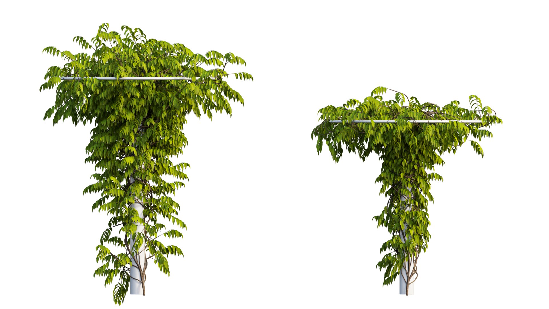 tree 14 3D model https://p.turbosquid.com/ts-thumb/j1/dlyYOw/QP/6_interactivelightmix/png/1607415937/1920x1080/fit_q87/4f6da6157dad1903ddd1d9547851c14b507762eb/6_interactivelightmix.jpg