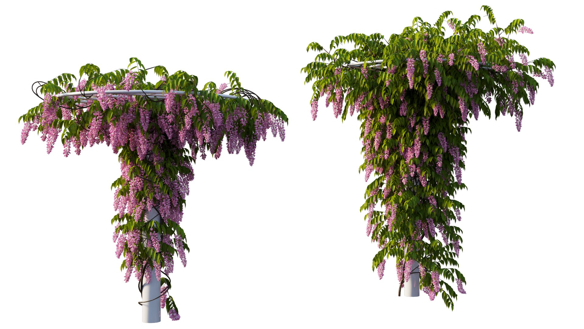 tree 14 3D model https://p.turbosquid.com/ts-thumb/j1/dlyYOw/Ud/3_interactivelightmix/png/1607415936/1920x1080/fit_q87/6f647db9bb110b509ec5790c1b134a23451d2eef/3_interactivelightmix.jpg