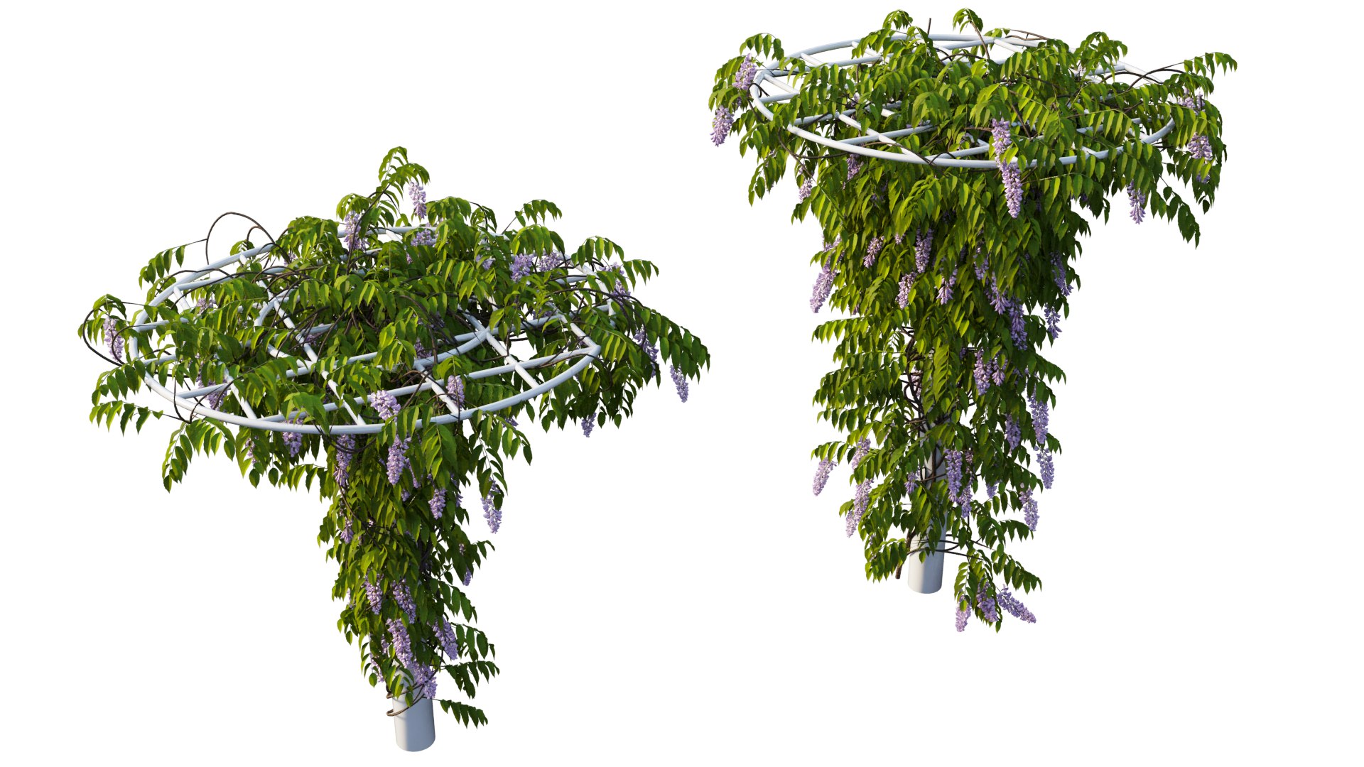 tree 14 3D model https://p.turbosquid.com/ts-thumb/j1/dlyYOw/Wx/10_interactivelightmix/png/1607415942/1920x1080/fit_q87/e1a9798f616118b303cbe74262dc882997368262/10_interactivelightmix.jpg