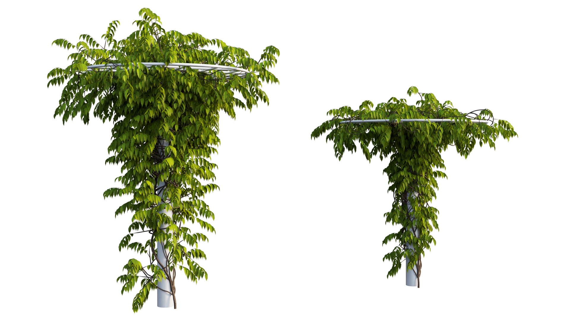 tree 14 3D model https://p.turbosquid.com/ts-thumb/j1/dlyYOw/cB/7_interactivelightmix/png/1607415930/1920x1080/fit_q87/b1266068d8426bb3a972fc7786403b7e5143bfeb/7_interactivelightmix.jpg