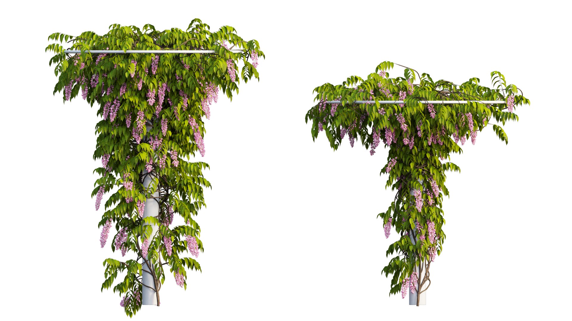 tree 14 3D model https://p.turbosquid.com/ts-thumb/j1/dlyYOw/x9/8_interactivelightmix/png/1607415938/1920x1080/fit_q87/d4dab913d386fddaccad5b49022884a80279e15c/8_interactivelightmix.jpg