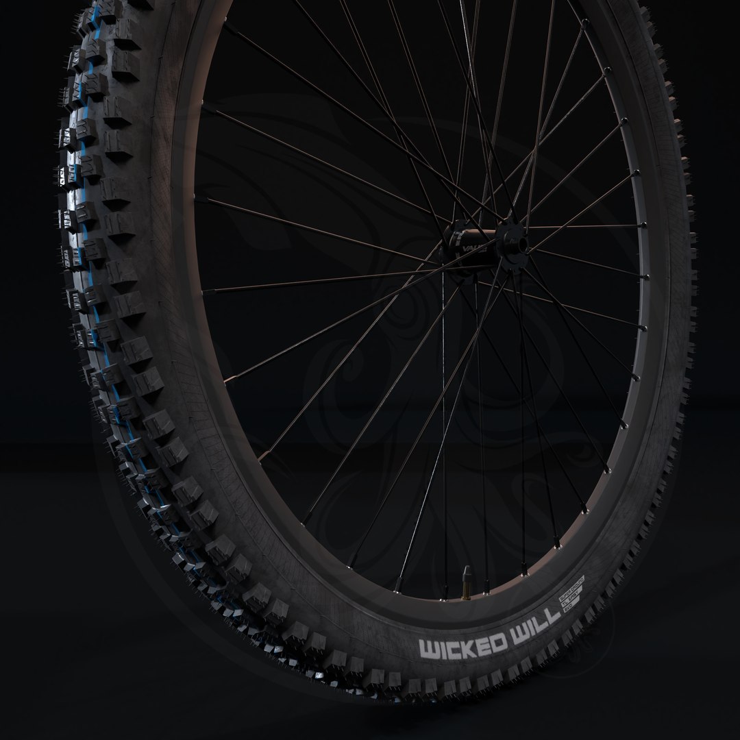 Pneu SCHWALBE WICKED WILL 29x2.40 ADDIX SPEEDGRIP SUPERGROUND Tubeless