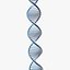 dna 3D model