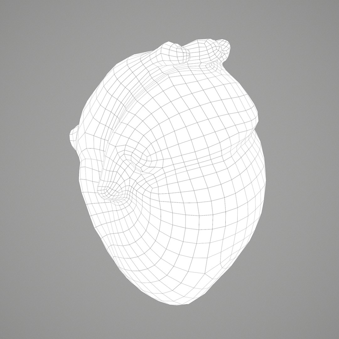 3D human heart model https://p.turbosquid.com/ts-thumb/j1/mid6aw/65Q00xBD/e/png/1583025737/1920x1080/fit_q87/fcb88f6d9e986df8c24bf9e54ab2837c9148d1ce/e.jpg