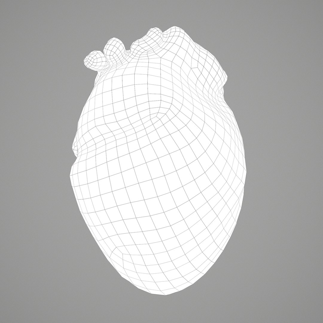 3D human heart model https://p.turbosquid.com/ts-thumb/j1/mid6aw/AwDuvWpd/c/png/1583025737/1920x1080/fit_q87/93adb23bc1cf1dd7437131fd9e1041dba9d60168/c.jpg