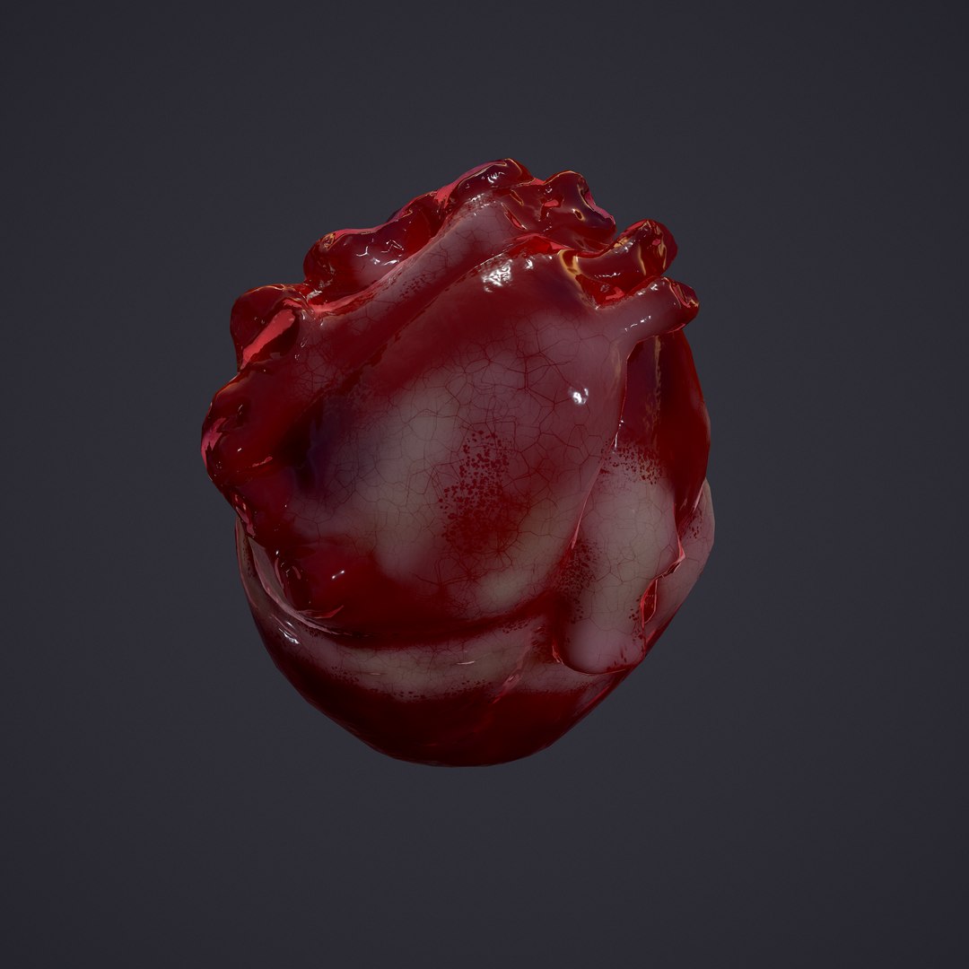 3D human heart model https://p.turbosquid.com/ts-thumb/j1/mid6aw/CZbQep6v/17/png/1583025488/1920x1080/fit_q87/165a794430f2686d0600ca8822c824ee920d5cdd/17.jpg