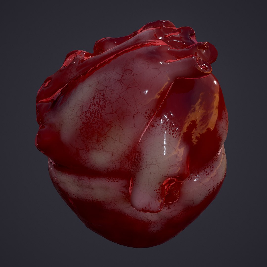 3D human heart model https://p.turbosquid.com/ts-thumb/j1/mid6aw/DwAx7MvU/23/png/1583025737/1920x1080/fit_q87/2595e6c0e42ecfdeb007f27e3abe82ac1c0e1bca/23.jpg