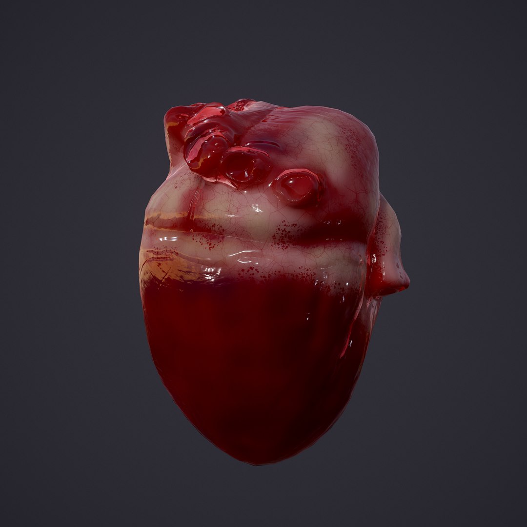 3D human heart model https://p.turbosquid.com/ts-thumb/j1/mid6aw/ESqMex4E/8/png/1583025488/1920x1080/fit_q87/a497a5a3e2aac22dd04afdd8f794d7f2788ad785/8.jpg