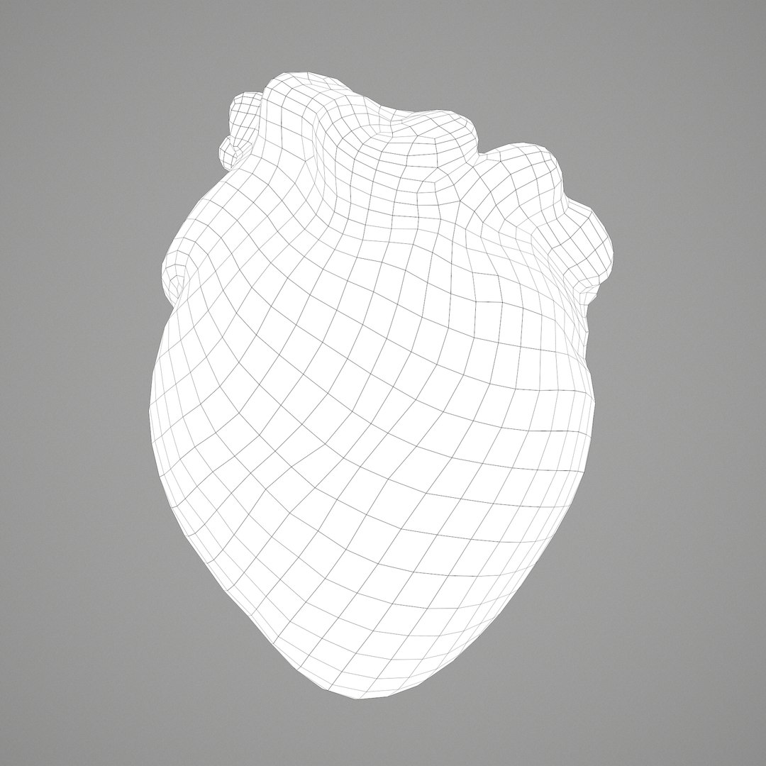 3D human heart model https://p.turbosquid.com/ts-thumb/j1/mid6aw/JK35JzrH/a/png/1583025737/1920x1080/fit_q87/ea2665a4502f8bdb1ab0734cfef78aa39cce5517/a.jpg