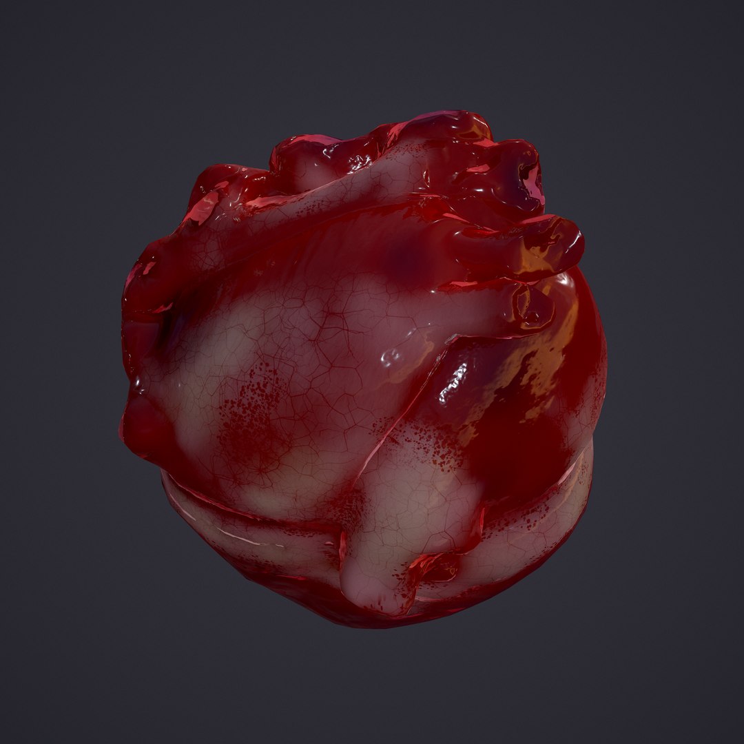 3D human heart model https://p.turbosquid.com/ts-thumb/j1/mid6aw/Nju1BWYQ/12/png/1583025488/1920x1080/fit_q87/595fbb34ec5622a8e01555d5f939e9b4be9f0ee5/12.jpg