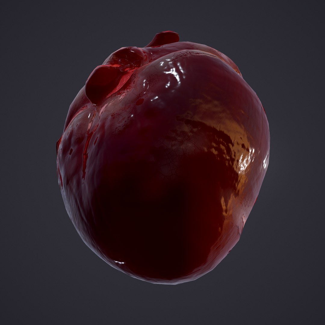 3D human heart model https://p.turbosquid.com/ts-thumb/j1/mid6aw/QPp1aHf9/26/png/1583025737/1920x1080/fit_q87/654d2de7c1253ad41653e960a25f5657e3d3b0ce/26.jpg