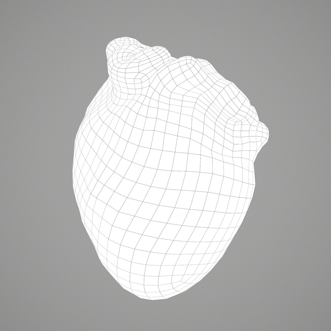 3D human heart model https://p.turbosquid.com/ts-thumb/j1/mid6aw/WhDOftRN/j/png/1583025737/1920x1080/fit_q87/dd91aade3a0e36df72af82c768af1813d0ce1785/j.jpg