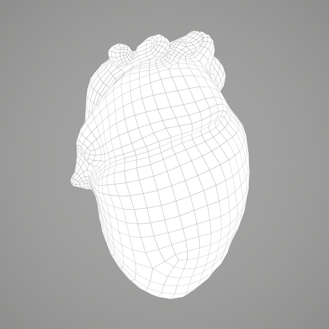 3D human heart model https://p.turbosquid.com/ts-thumb/j1/mid6aw/mp5Eb1k1/d/png/1583025737/1920x1080/fit_q87/130e134ee6854caff374e4ce98f39f881098f448/d.jpg