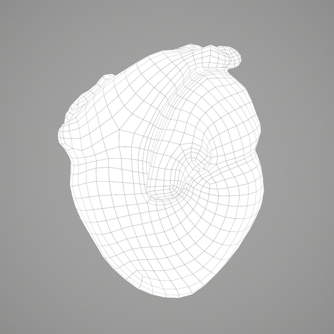 3D human heart model https://p.turbosquid.com/ts-thumb/j1/mid6aw/sOY7pPpn/f/png/1583025737/1920x1080/fit_q87/3bef98d6bd942ea883a1cdebc5cb67ca650e71e1/f.jpg